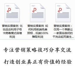 整合營(yíng)銷策略 從策劃到執(zhí)行的實(shí)戰(zhàn)路徑與案例解析